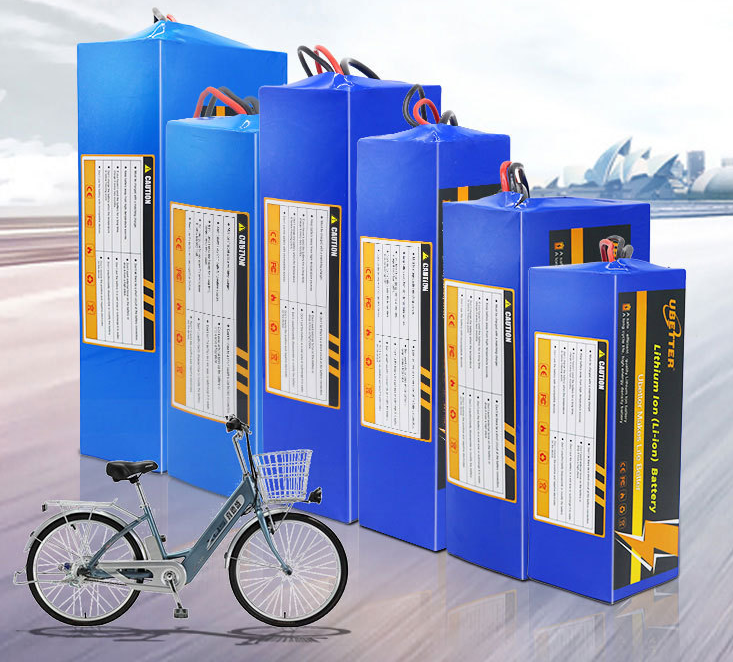 Electric vehicle, scooter lithium battery, 36V48V power iron phosphate bicycle lithium battery-Custom Battery Packs