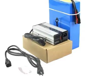 US Stock Customized PVC 1000W 48V 52v 20ah Lithium Ion Battery Pack Fit Mountain Bike Battery Charging Bicycle